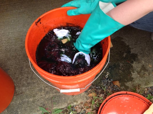 A pot of indigo dye at a recent dye workshop. Check us out for other events.