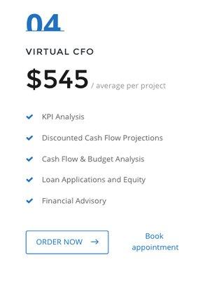 Virtual CFO