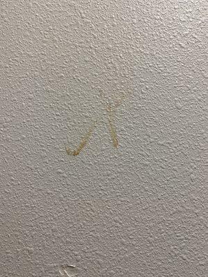 Something gross on the wall next to the bed.