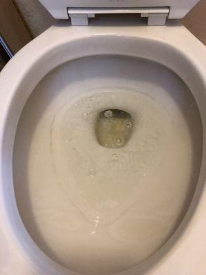 Dirty built up ring around toilet