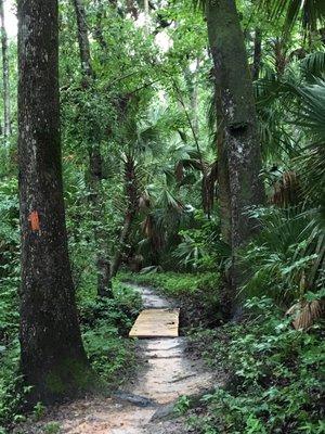 The trail is wonderful but can get very narrow at parts if both hikers and bikers are on here.