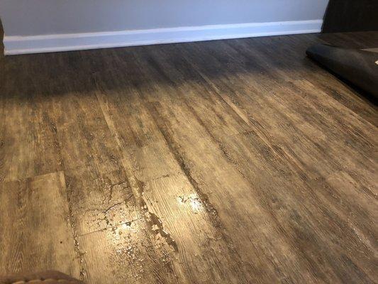 Water seeping up through the laminate in the living area.