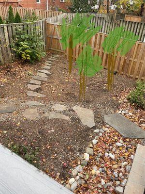 We had three small trees here and Sherman cut them and ground the stumps. We'll use space for fire pit.