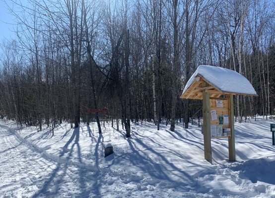 Shared trail. Side note- please don't walk on ski tracks. The awkwardness of skiing on trampled on tracks takes all the joy out of it.