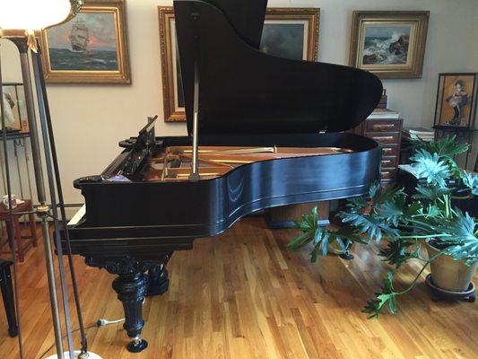 Victorian  Steinway B for $50,000