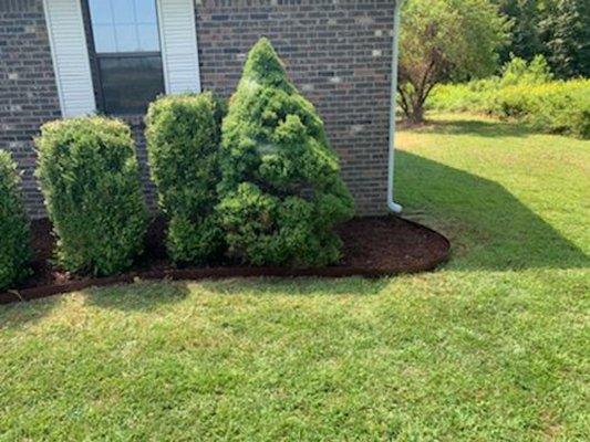 Mulch and Metal Edging