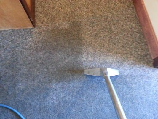 Carpet cleaning