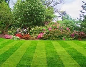 Contrasting mow lines