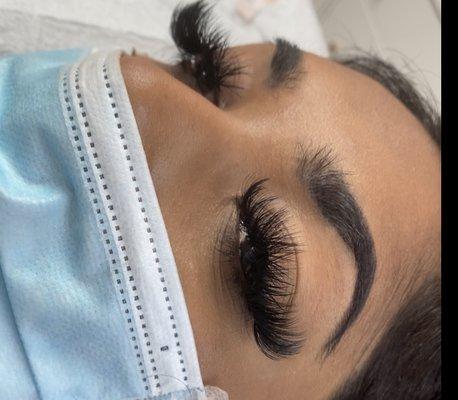 volume lashes extensions