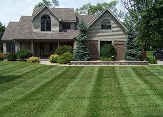 Growing Greener Lawns