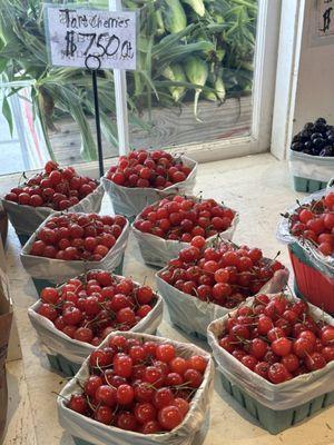 pretty and delicious cherries