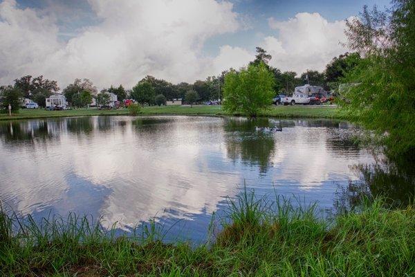 The Fishing pond