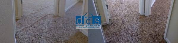 Denver Carpet Service