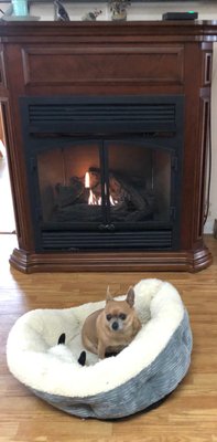 Keep Your Loved Ones Warm With Our Gas Fireplace Services !