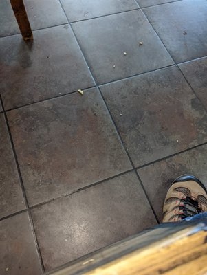 Food debris through out the floor.