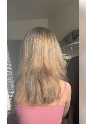 The "balayage" that Britney did for me. Charged $300 for this shit