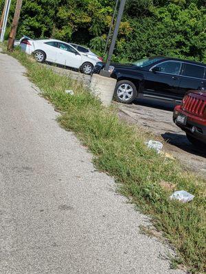 Family Dollar (Enright/Kingshighway) - exterior parking lot litter