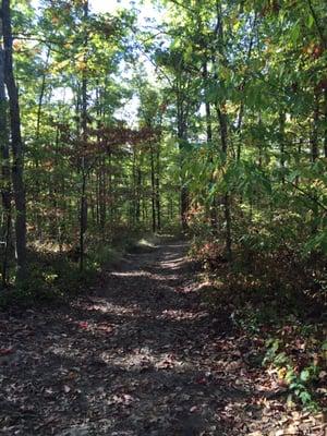 Beautiful trail with all the leaves changing.