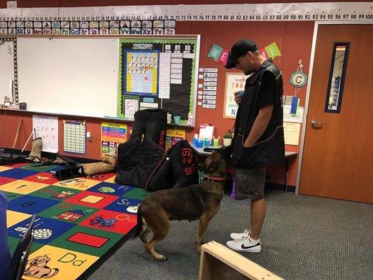 Gulf Coast K-9 at a local elementary school