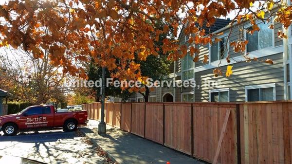 Wood Fence