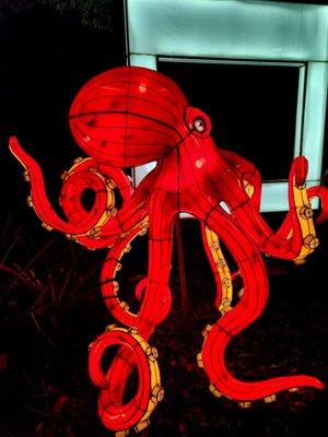 2022-2023 Asian Lantern Festival. Octopus from the other side of the photo spot.