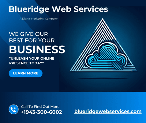 https://blueridgewebservices.com/leads