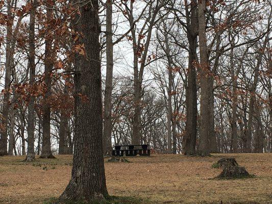 Binkley Woods Park & Spector Lake