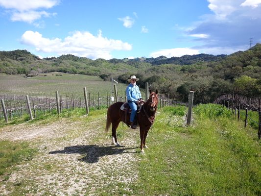 Direct access to over 300 acres of private horse trails.