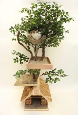 Adult (medium) Pet Tree House