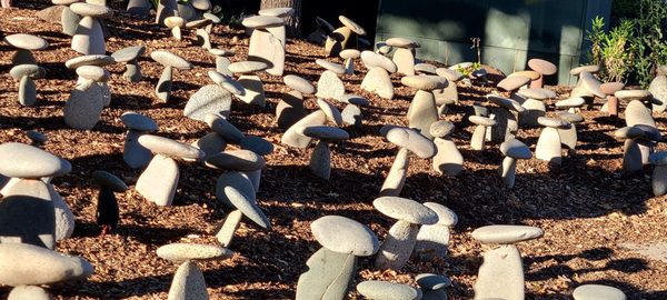 rock mushroom garden by postoffice