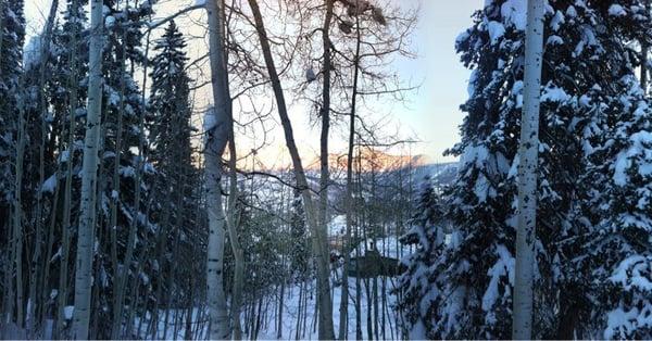 View of the mountains at DMR during a sleigh ride