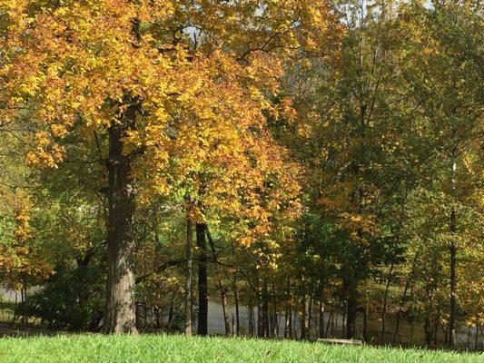 Now this is 'Chillin' on an Autumn day; thanks to Mother Nature and Veteran's Memorial Park