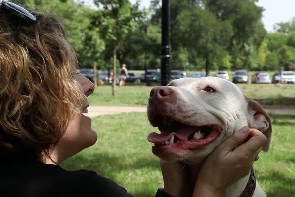 Spuds, and rescues like him, helped raise over $23,000 on North Texas Giving Day for Dallas Pets Alive