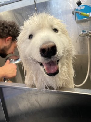 Luka getting a bath!