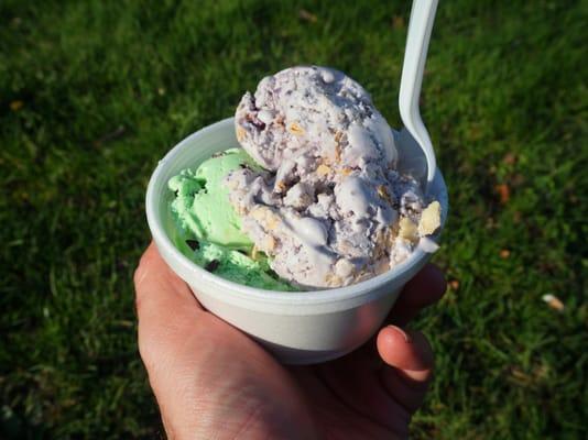 Shain's of Maine Ice Cream