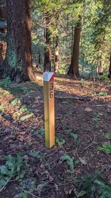 Print the orienteering map from the Cascade Orienteering club website and find these markers! This kept my kids busy and not-arguing