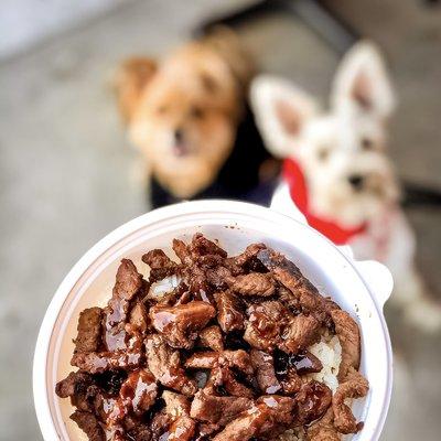 IG @FoodandPooch