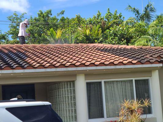 roof washing