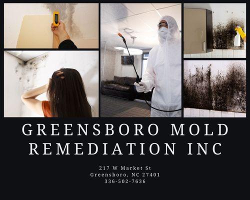 Greensboro Mold Remediation