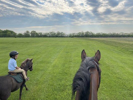 Duncraven Equestrian Center