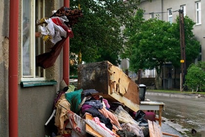 Debris removal and hoarding clean up.