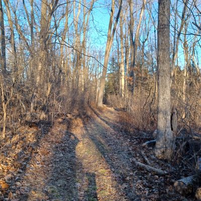 On the Turnpike Trail