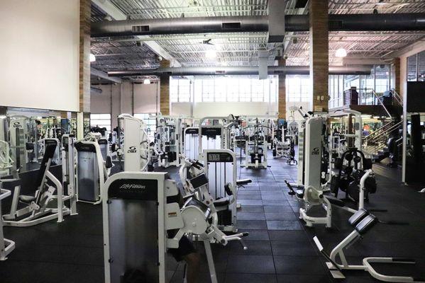 The gym