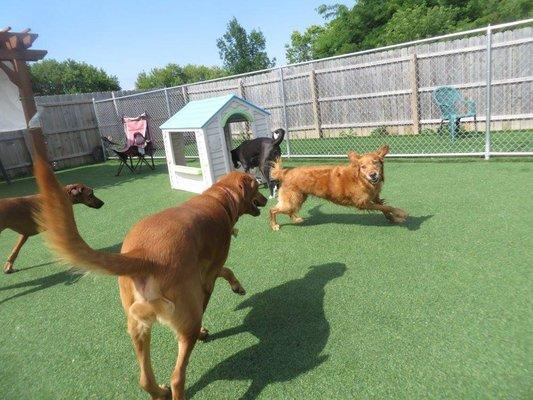 One of the outdoor play area's