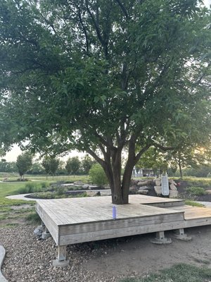 Very nice desk built AROUND the tree