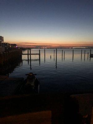 Come for the fun on the water stay for the sunsets!  Starky's Ship Bottom Marine Center! 609.494.8100