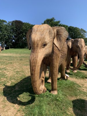 The Great Elephant Migration at Salve Regina University.