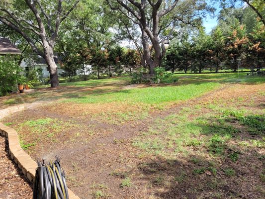 Installed a new zone in backyard to an existing system.