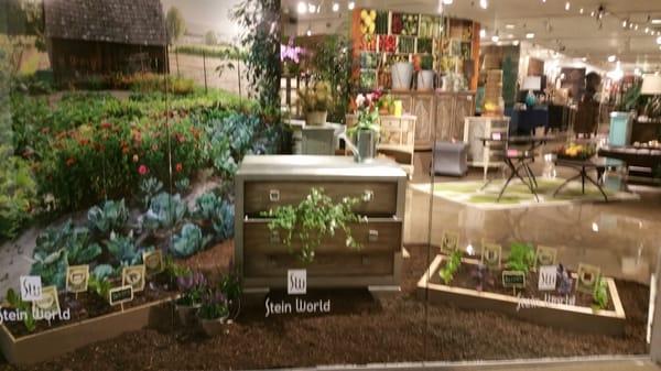 Our showroom kicks daisies! Stein world! !!