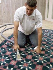 Clean and spot clean area rugs for a clean and healthy home.